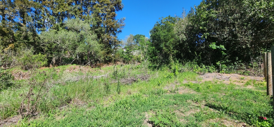 0 Bedroom Property for Sale in Swellendam Western Cape